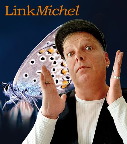 LinkMichel - alter Falter