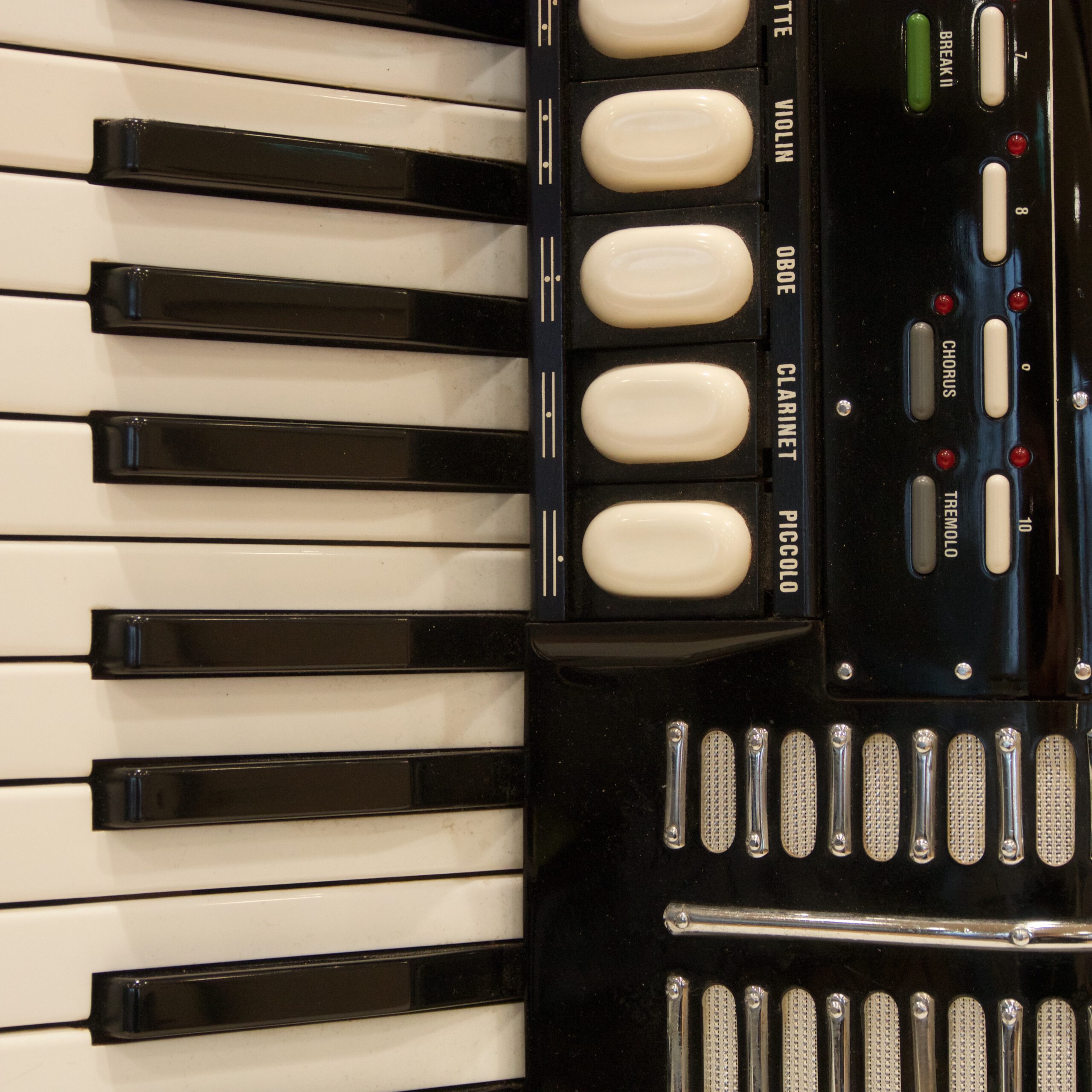 Instrument des Jahres 2026 - das AKKORDEON