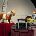 die exen „Pony im Koffer“