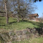 Exkursion „Weinberge Ostfilderns“