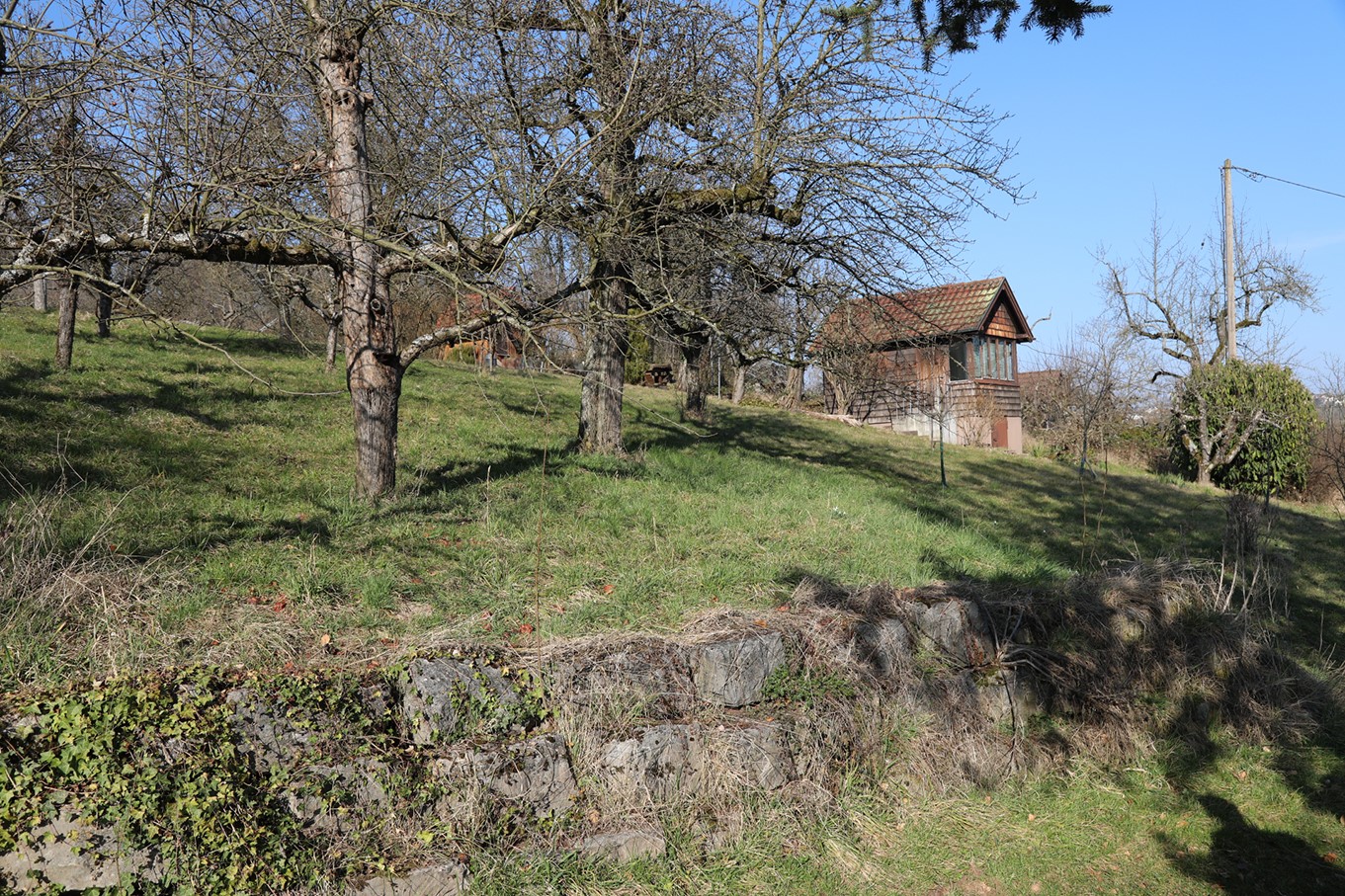 Exkursion „Weinberge Ostfilderns“